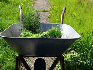 Landscaping, Prescott Valley, AZ