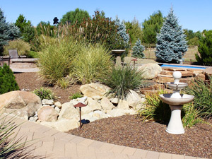 Landscape Design